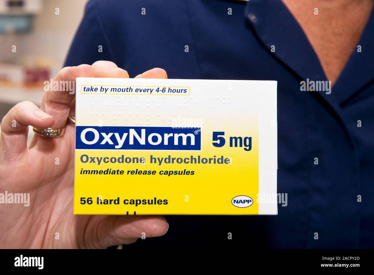 Packung mit Oxynorm (Oxycodone hydrochloride) kapseln, ein opioid Schmerzmittel verwendet mäßigen bis starken Schmerzen wie bei Krebs oder nach der Operation zu behandeln. Stockfoto
