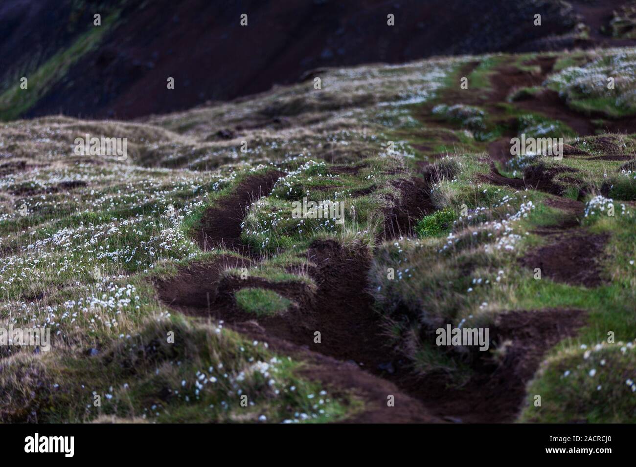 Wanderweg in Island Stockfoto