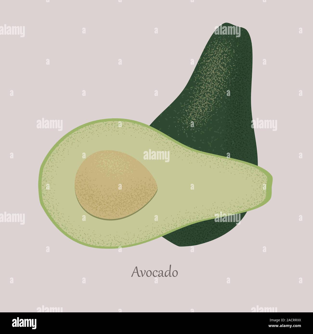 Vector Obst avocado und in zwei Hälften geschnitten. Stock Vektor