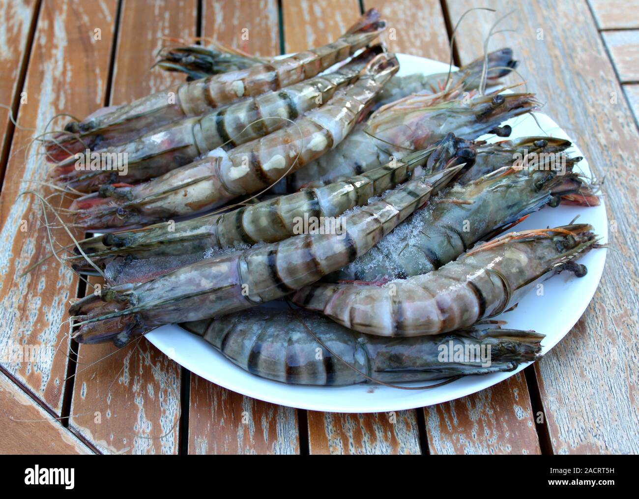 Frische Garnelen in einem Teller auf den Gartentisch. Stockfoto