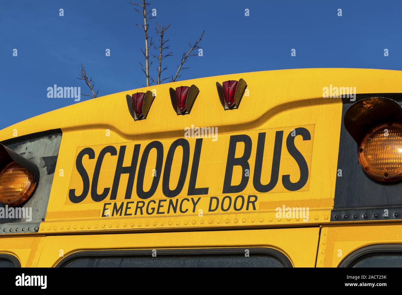 American School Bus Stockfoto