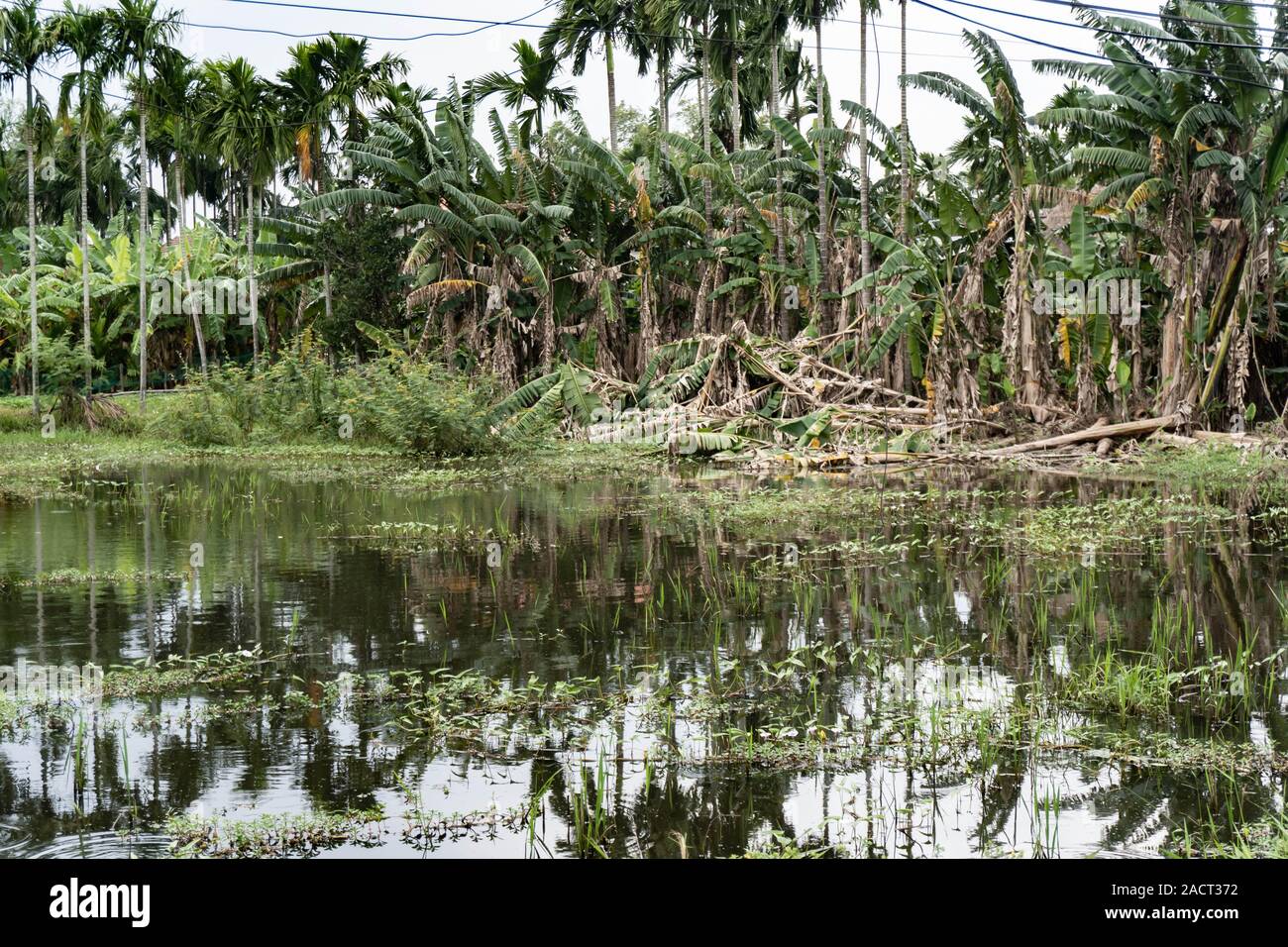 Fotos in und um Hoi An Vietnam im Jahr 2019 zeigt Häuser und Straßen in der kleinen Vietnam Dörfer eingenommen. Stockfoto