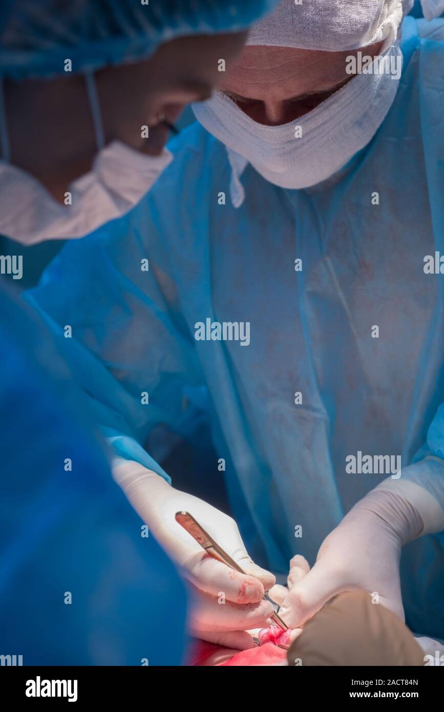 Chirurgen Kinder urologische Operationen durchführen. Ein Mann und eine Frau in einer Maske und einem blauen sterile Mantel in den Operationssaal. Ein Team von Chirurgen ist Co Stockfoto