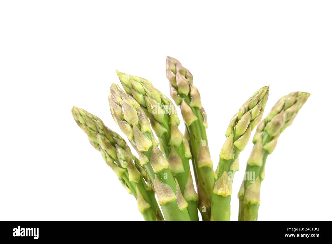 Nahaufnahme des oberen Spargeln. Stockfoto