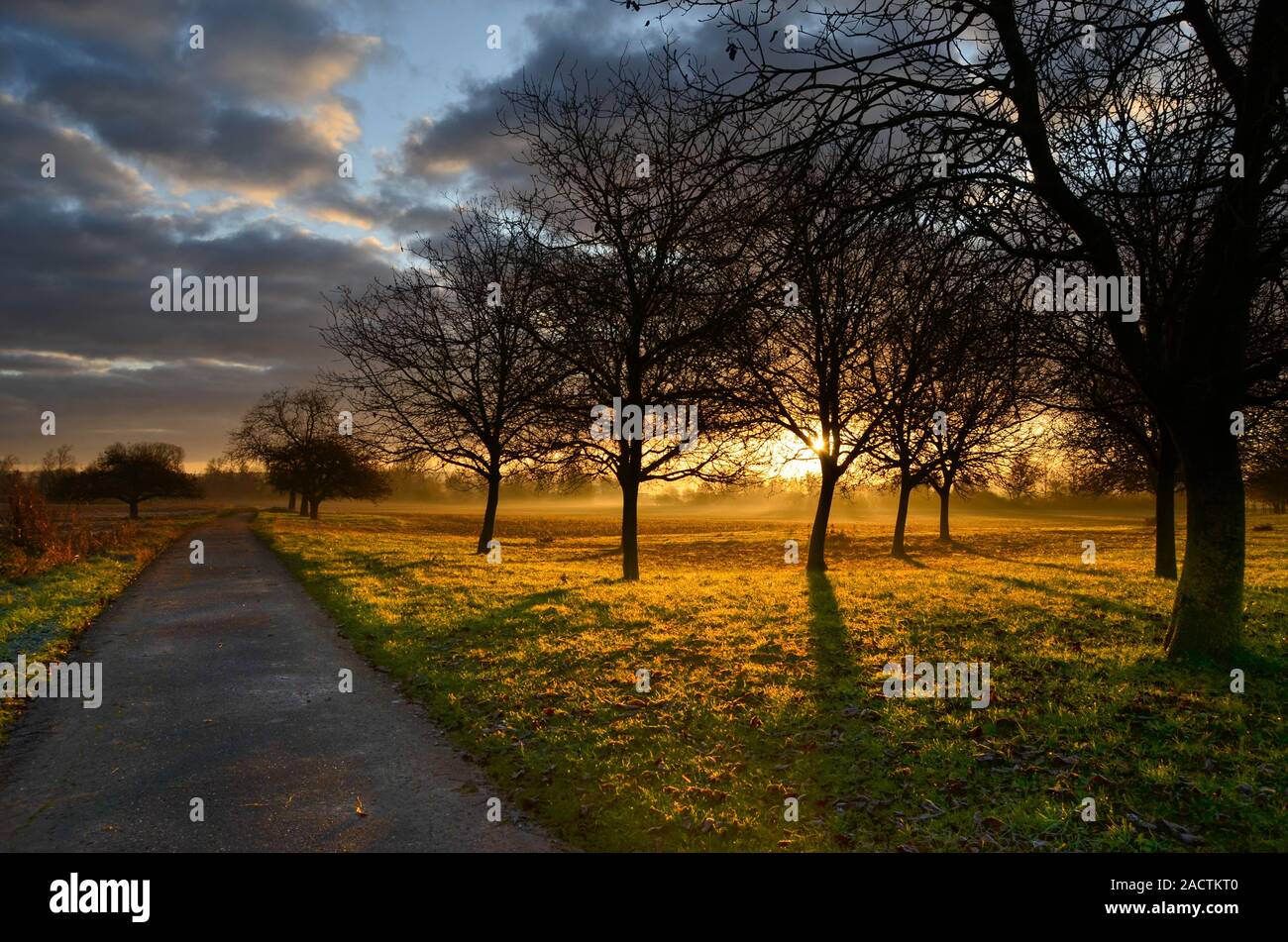 Nebligen winter morgen in die Feuchtgebiete in Deutschland Stockfoto