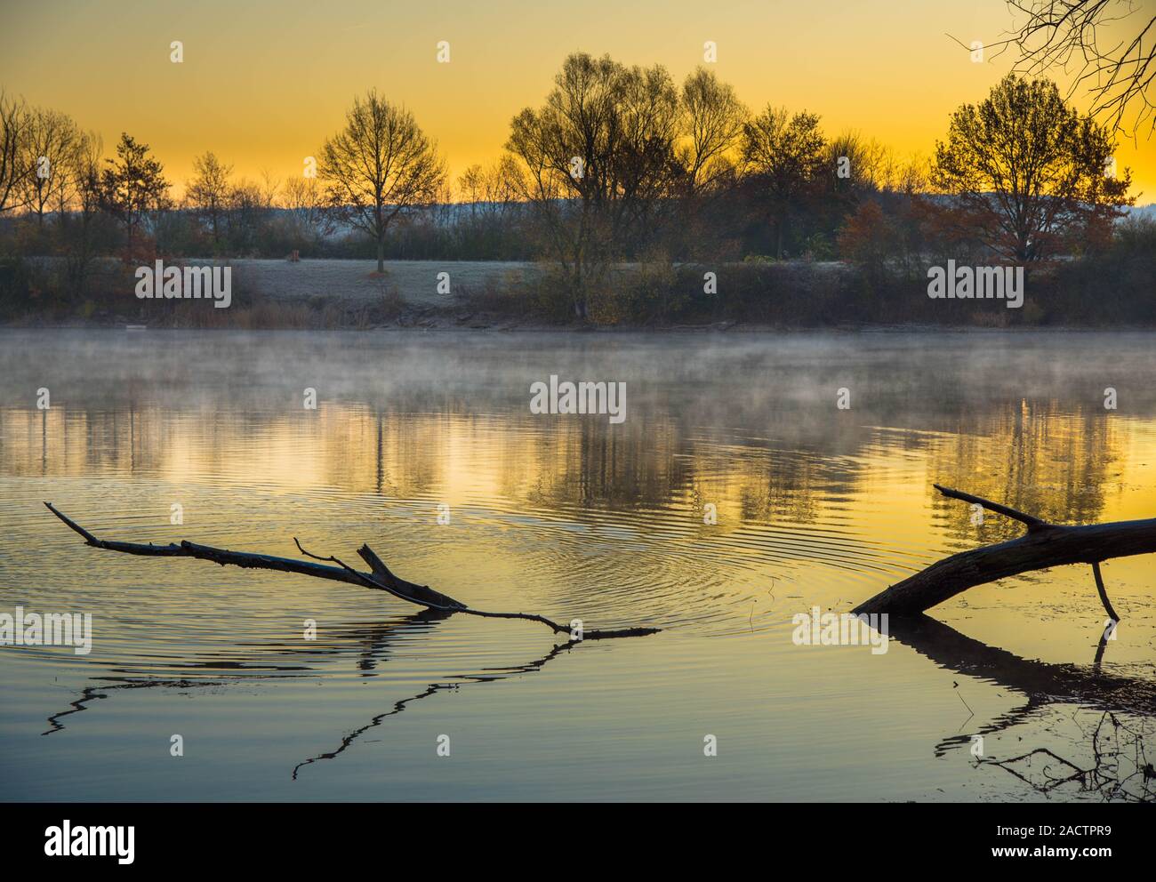 Kalter morgen am See in der Nähe von Kappel-Grafenhausen im Ortenaukreis in Deutschland Stockfoto