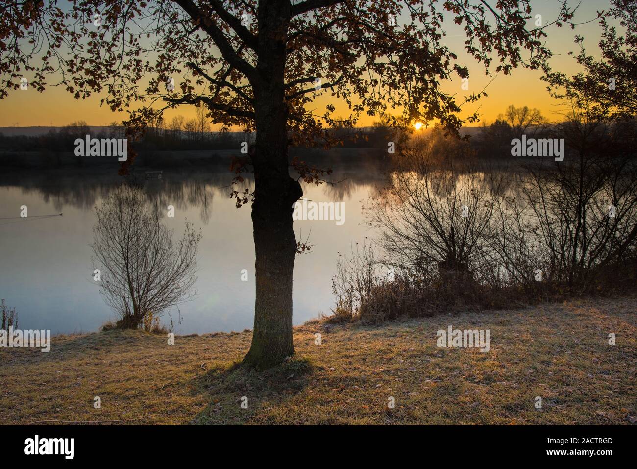Kalter morgen am See in der Nähe von Kappel-Grafenhausen im Ortenaukreis in Deutschland Stockfoto