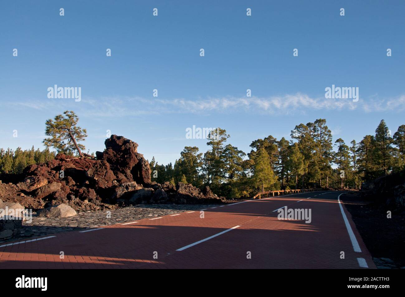 Autobahn durch den Parque National de Corona Forestal, Nationalpark Teide, Teneriffa, Kanarische Inseln, Spanien, Europa Stockfoto