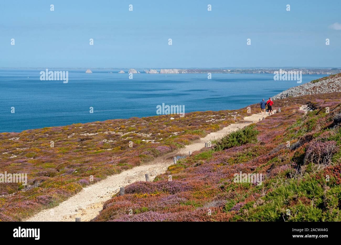 Küstenpfad mit Blick auf den Meer Iroise, Cap de la Chèvre, Armorique Regional National Park, Halbinsel Crozon, Bretagne, Frankreich Stockfoto