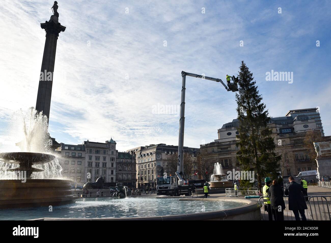 Trafalgar Square, London, UK. 3. Dezember 2019. Die traditionelle Weihnachtsbaum ist in Trafalgar Square installiert. Quelle: Matthew Chattle/Alamy leben Nachrichten Stockfoto