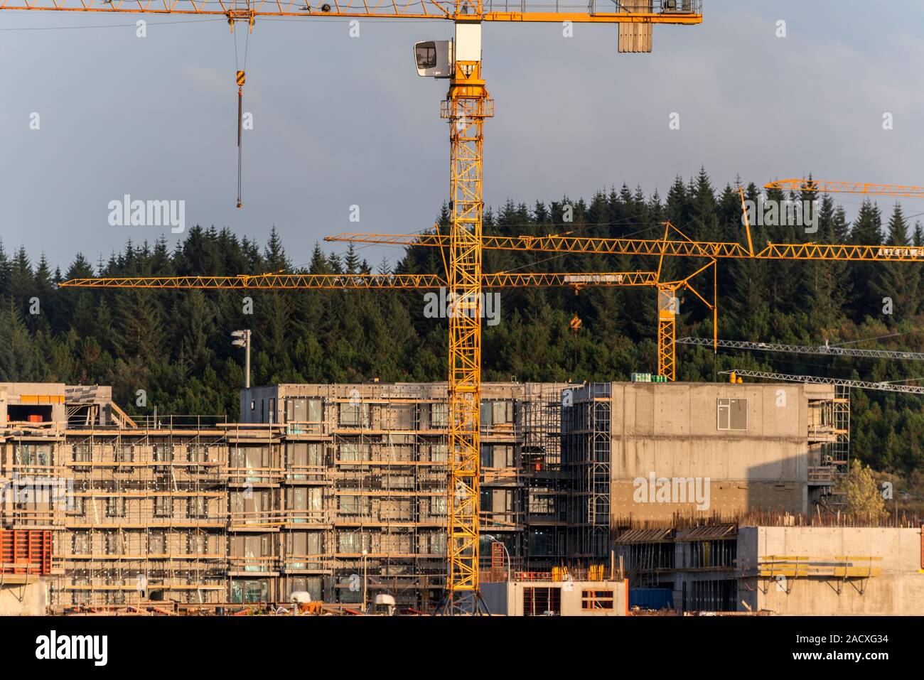 Baukräne in einem Wohngebiet Baustelle, Reykjavik, Island Stockfoto