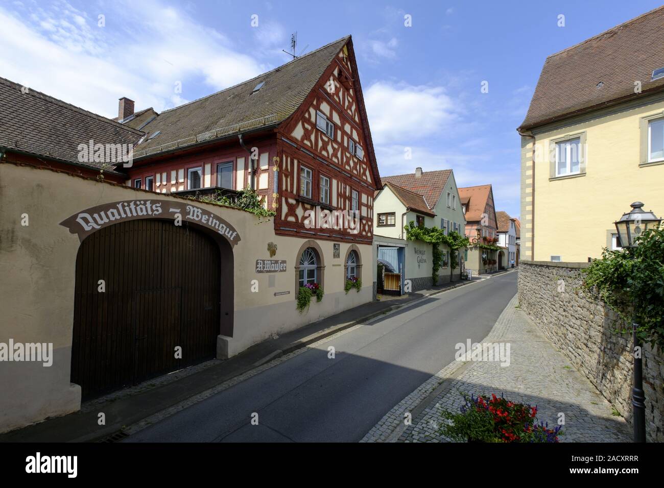 Sommerach am Main, Landkreis Kitzingen, Unterfranken, Bayern, Deutschland Stockfoto