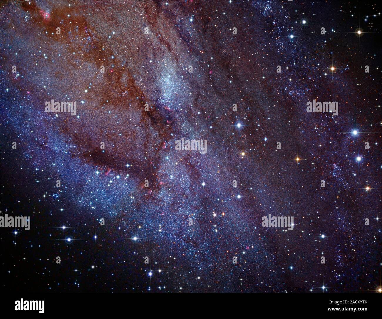 Andromeda Galaxie. Das zusammengesetzte Bild des südwestlichen Arm der