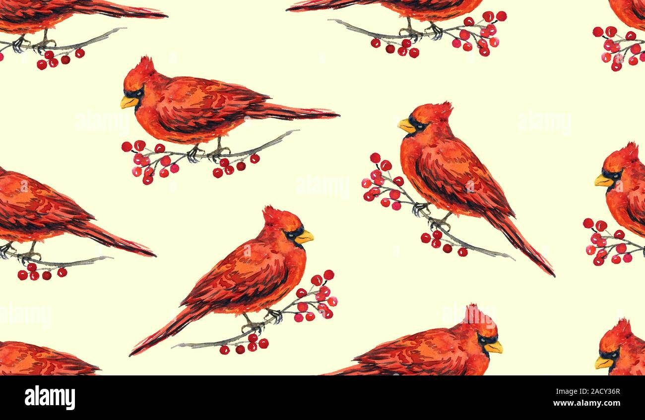Kardinal Vögel auf den Ästen mit roten Beeren, Handgemalten Aquarell Illustration, nahtlose Muster Design auf weichem gelben Hintergrund Stockfoto