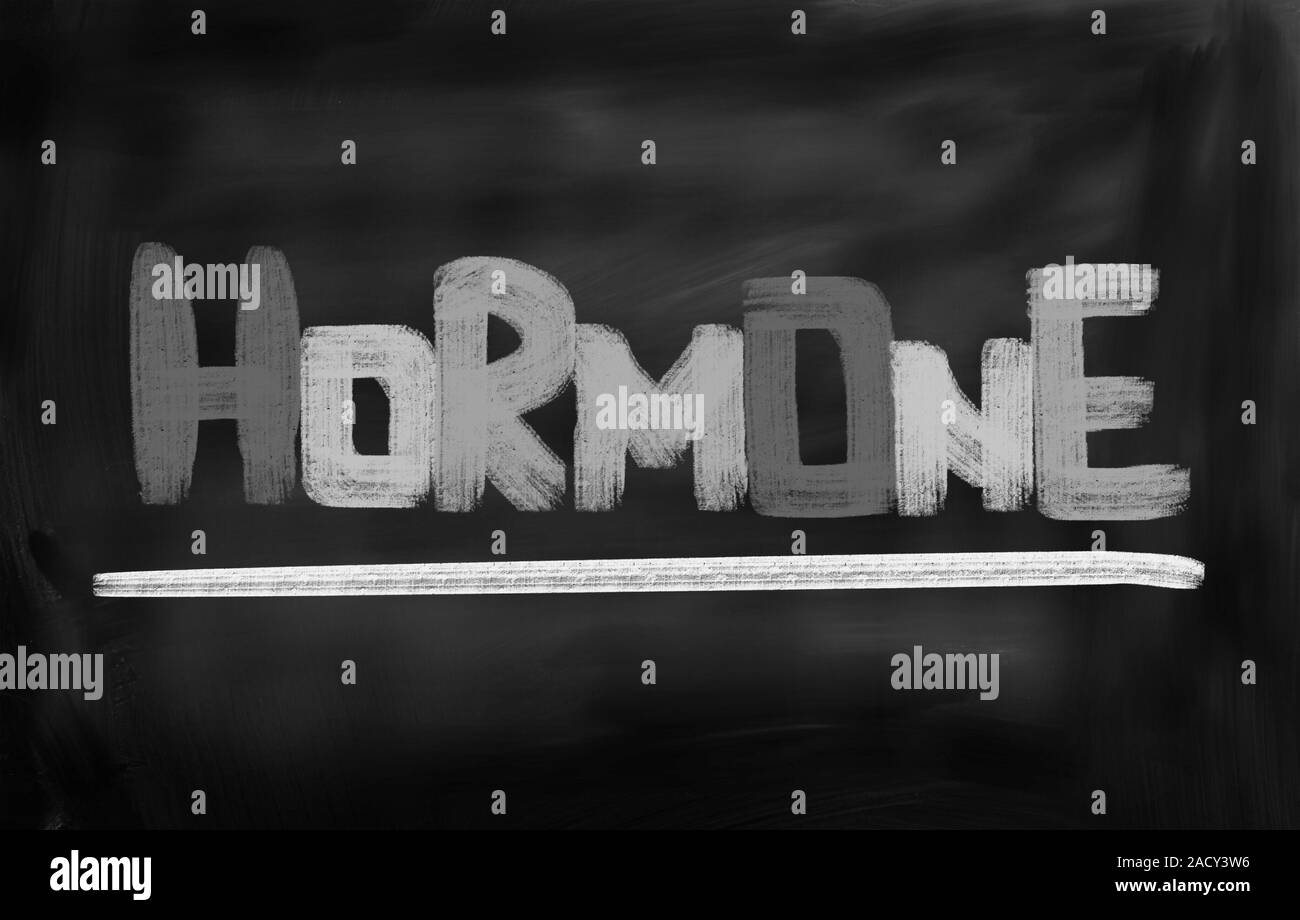 Hormon-Konzept Stockfoto
