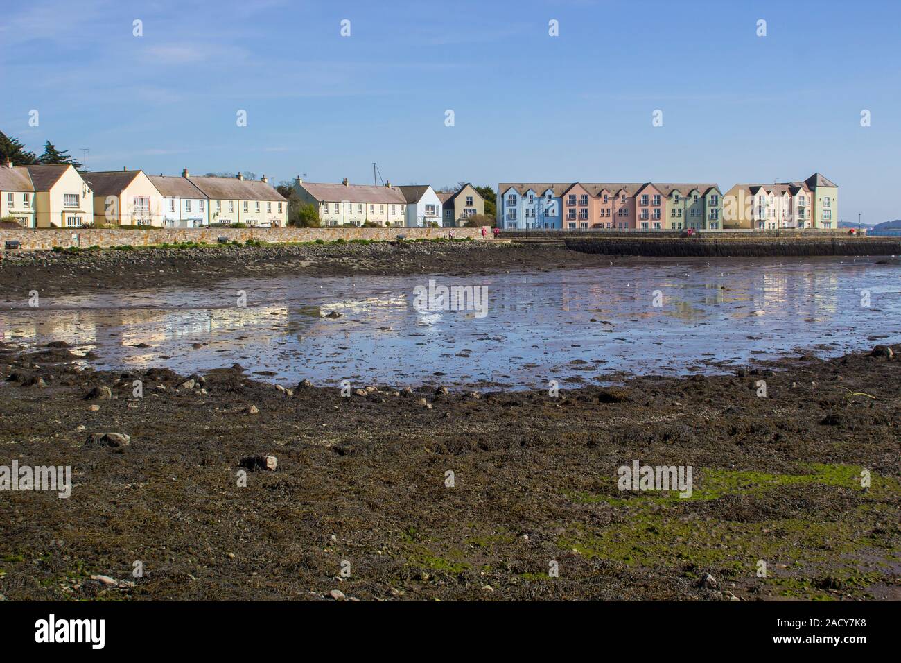 28. März 2019 Die kaimauer an der Waterfront in Killyleagh Dorf im County Down Nordirland im Strangford Lough bei Ebbe. Der lough ist famo Stockfoto