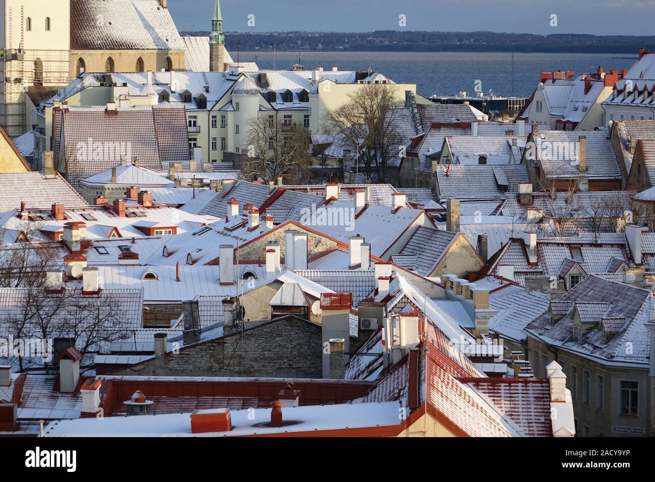 Altes Tallinn Dächer im Winter Stockfoto