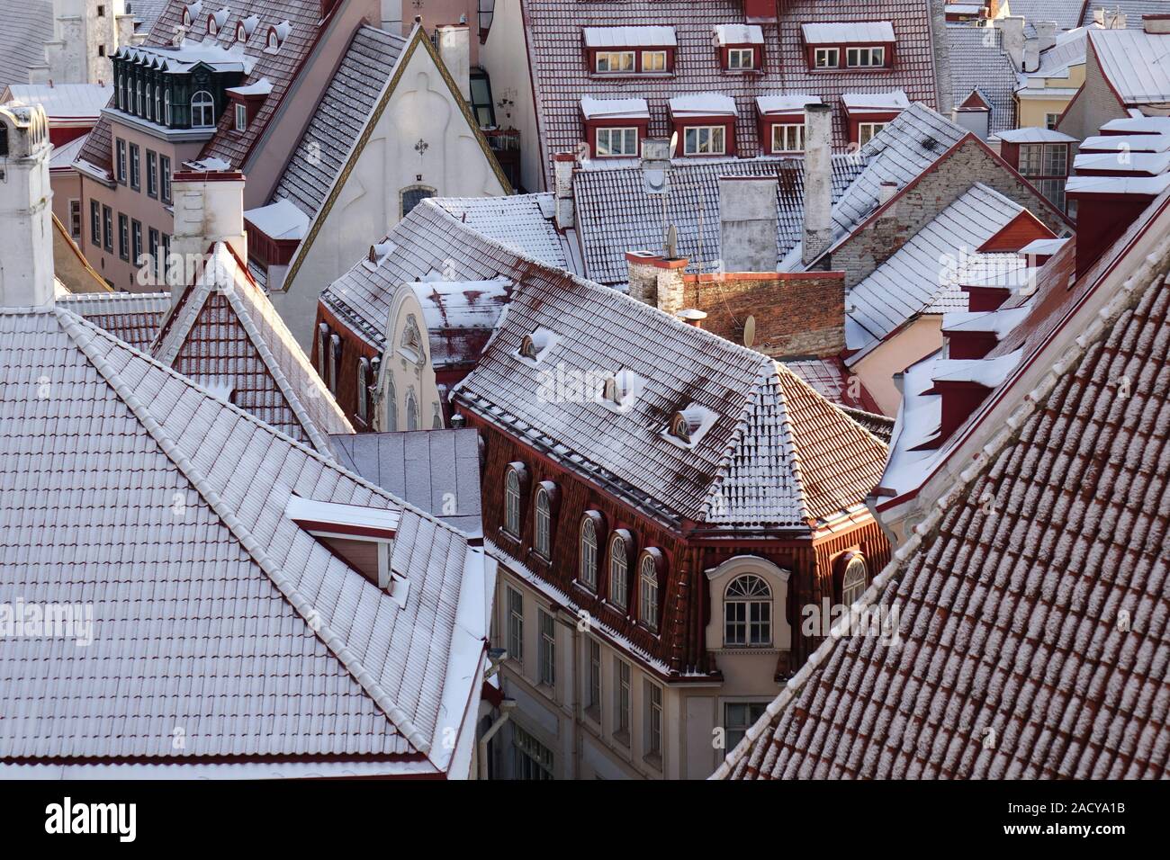 Altes Tallinn Dächer im Winter Stockfoto