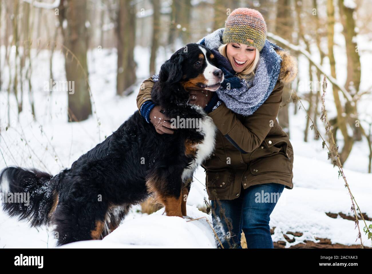 Frau zu ihrem Hund im Winter und den Schnee gemeinsam entdecken Stockfoto