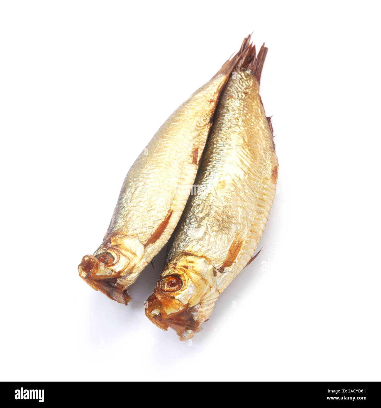 Zwei Sprotten isoliert auf weißem Stockfoto
