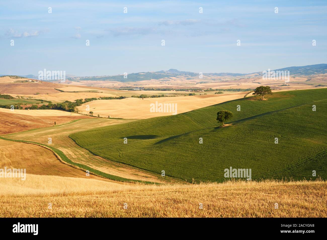 Im Sommer Ackerland Landschaft Landschaft des Val d'Orcia in der Nähe von Pienza Toskana Italien Europa - Toskana Landschaft Landschaft Stockfoto