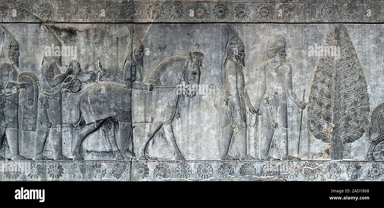 Bas-Relief, Persepolis. Nahaufnahme einer bas-relief auf der großen Treppe von apadana Palace, Persepolis, Iran. Die Stadt Persepolis war einst die capit Stockfoto