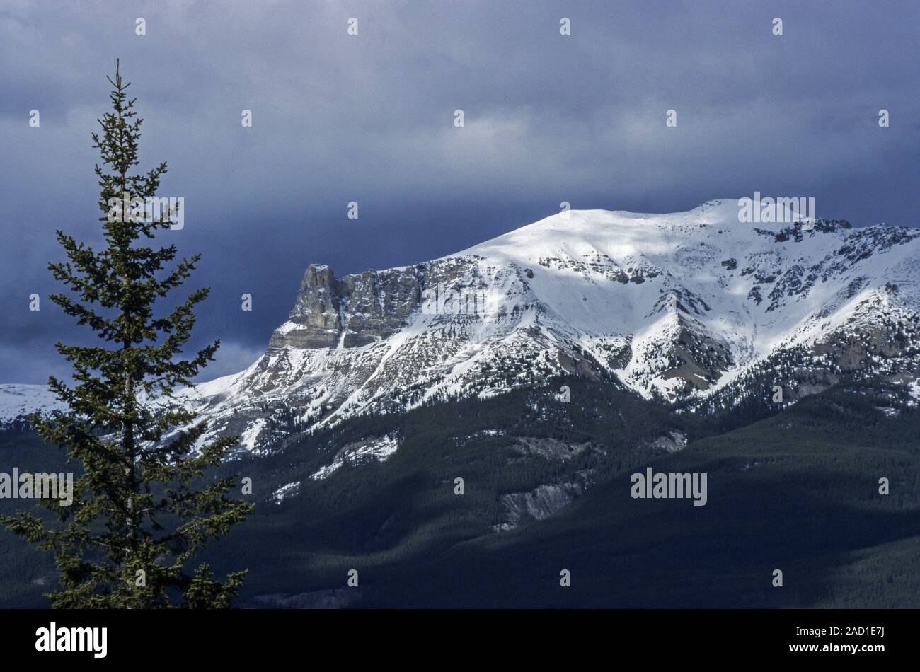 Frischer Schnee auf der Spitze eines Berges in den kanadischen Rockies/Jasper National Park Stockfoto
