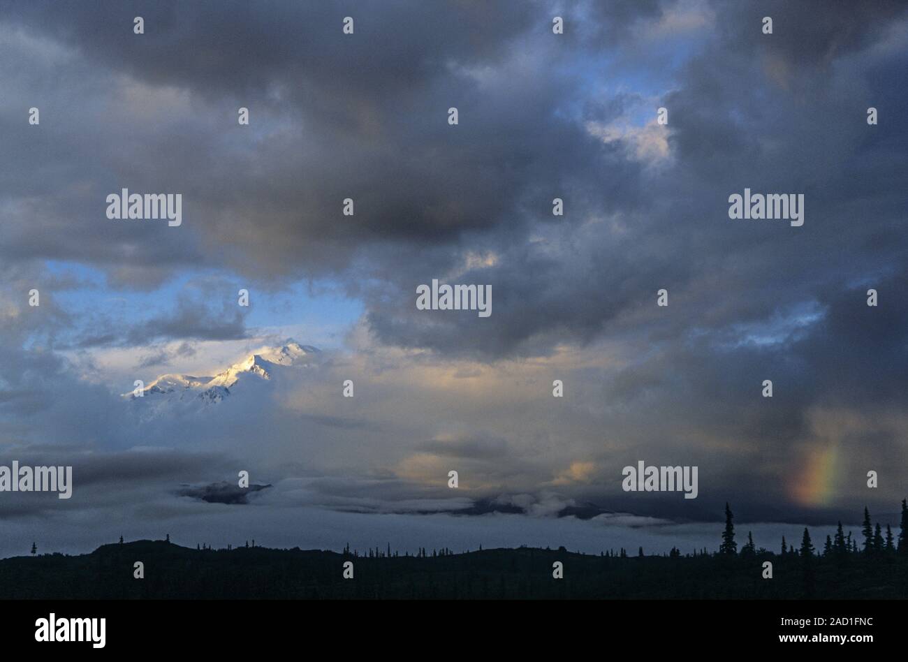 Der Gipfel des Denali mit Regenbogen zwischen Wolken/Denali National Park, Alaska Stockfoto