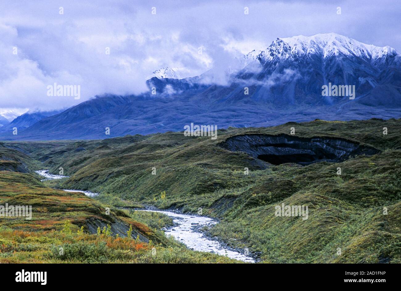 Mount Eielson und Muldrow Glacier Anfang Herbst/Denali National Park, Alaska Stockfoto