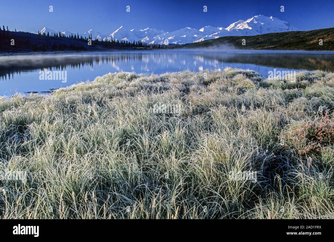 Blick am Morgen über das Wunder See zum Denali/Denali National Park, Alaska Stockfoto