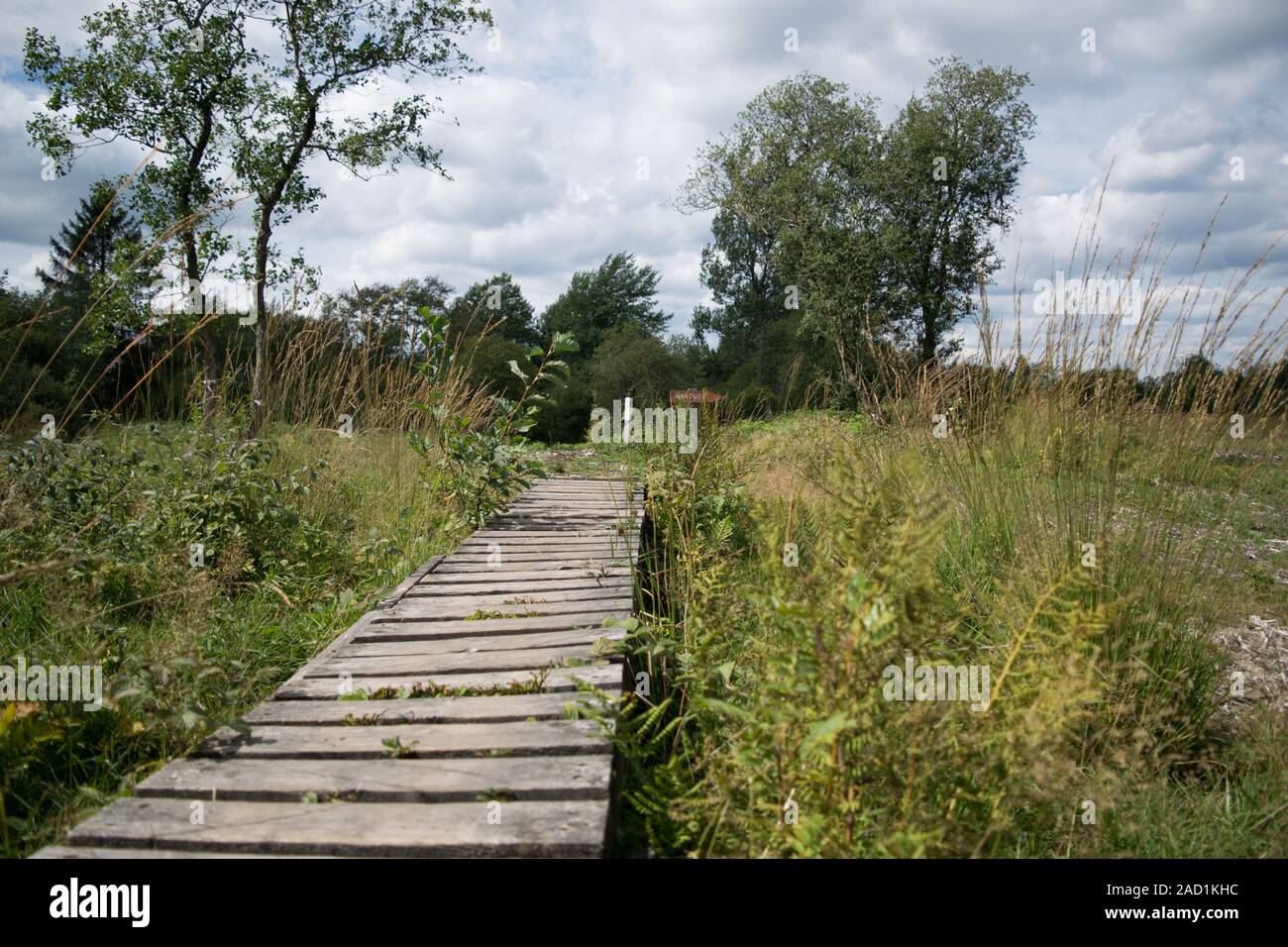 Hohes Venn, Hautes Fagnes, am Nationalpark Eifel, Deutschland Stockfoto