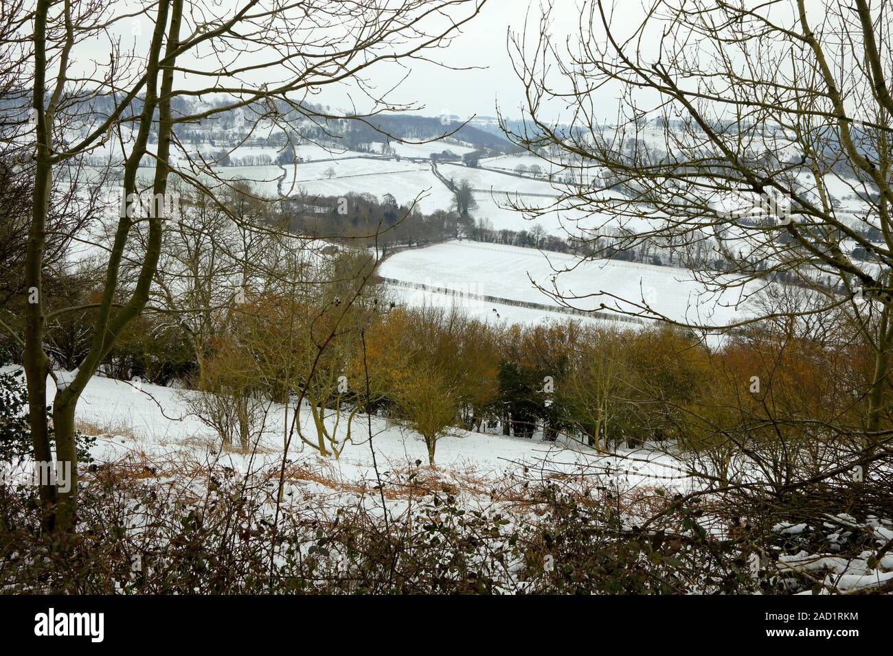 Die Cotswolds im Schnee, ein Blick von Cam Peak in der Nähe von Westonbirt Stockfoto