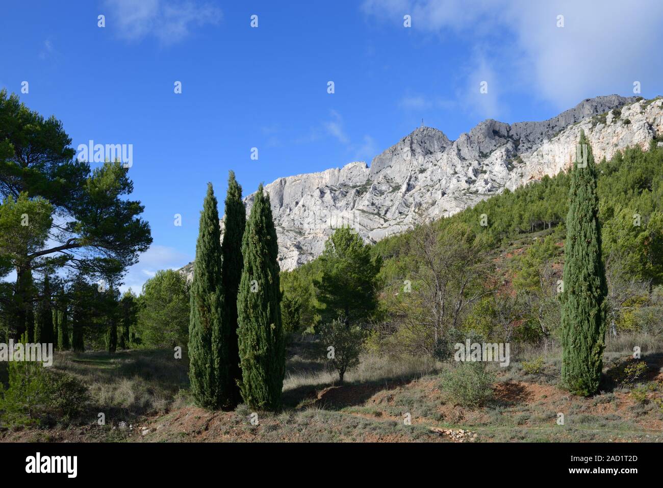 Südlichen Hängen des Mont Sainte-Victoire Berg mit Zypressen oder Zypressen Saint-Antonin-sur-Bayon in der Nähe von Aix-en-Provence Frankreich Stockfoto