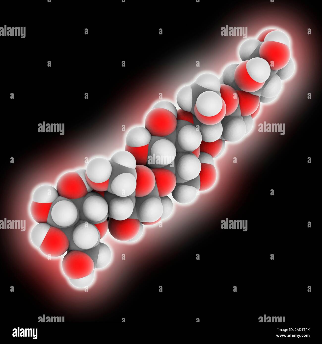 Cellulose Faser. Molekulare Modell der fünf Basiseinheiten des Polysaccharids Cellulose. Die Basiseinheit hat die Summenformel: C 6 H 10 O 5. Dieses Polymer Stockfoto