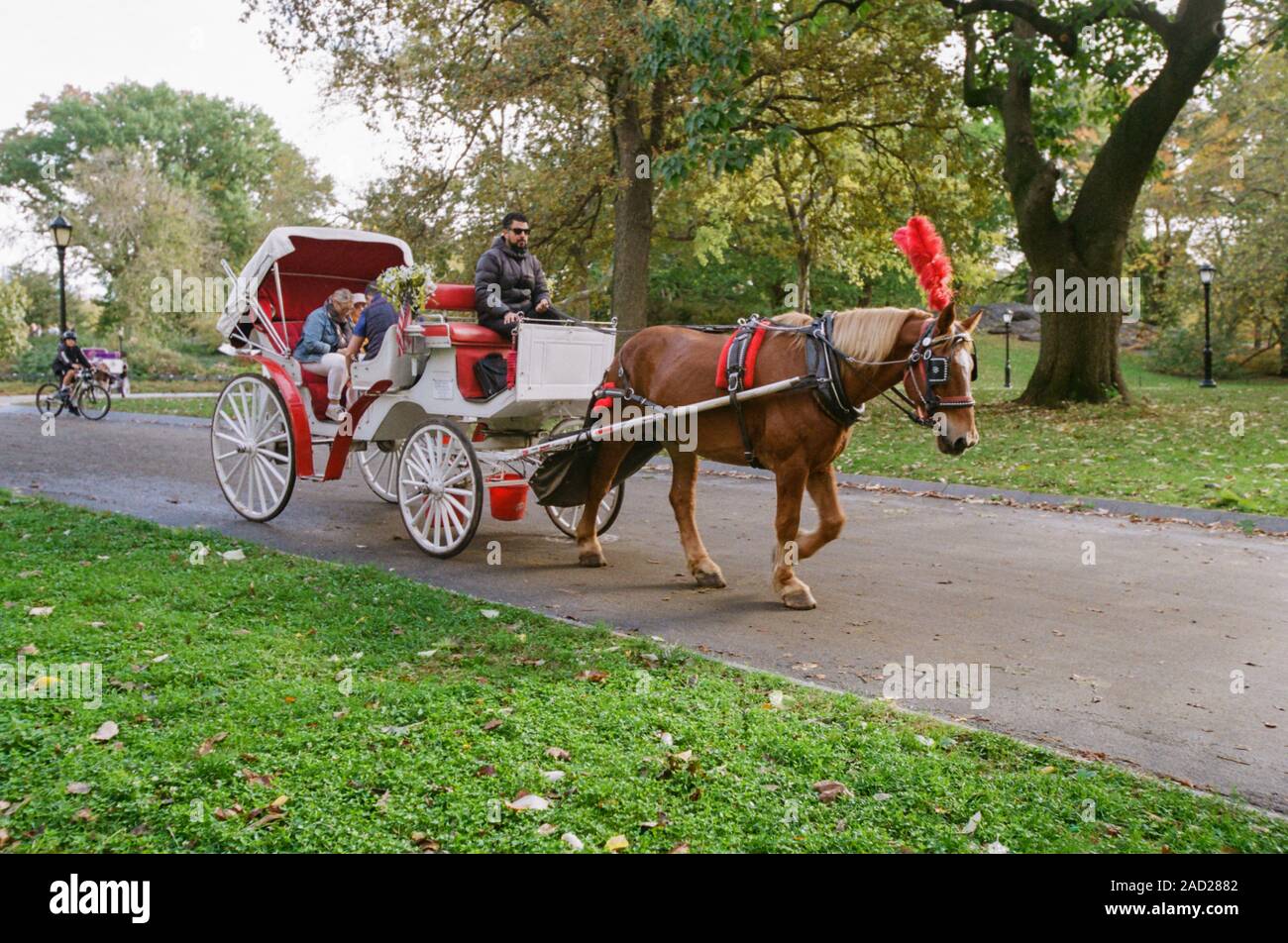 Pferd und Wagen, Central Park, New York City, Vereinigte Staaten von Amerika. Stockfoto