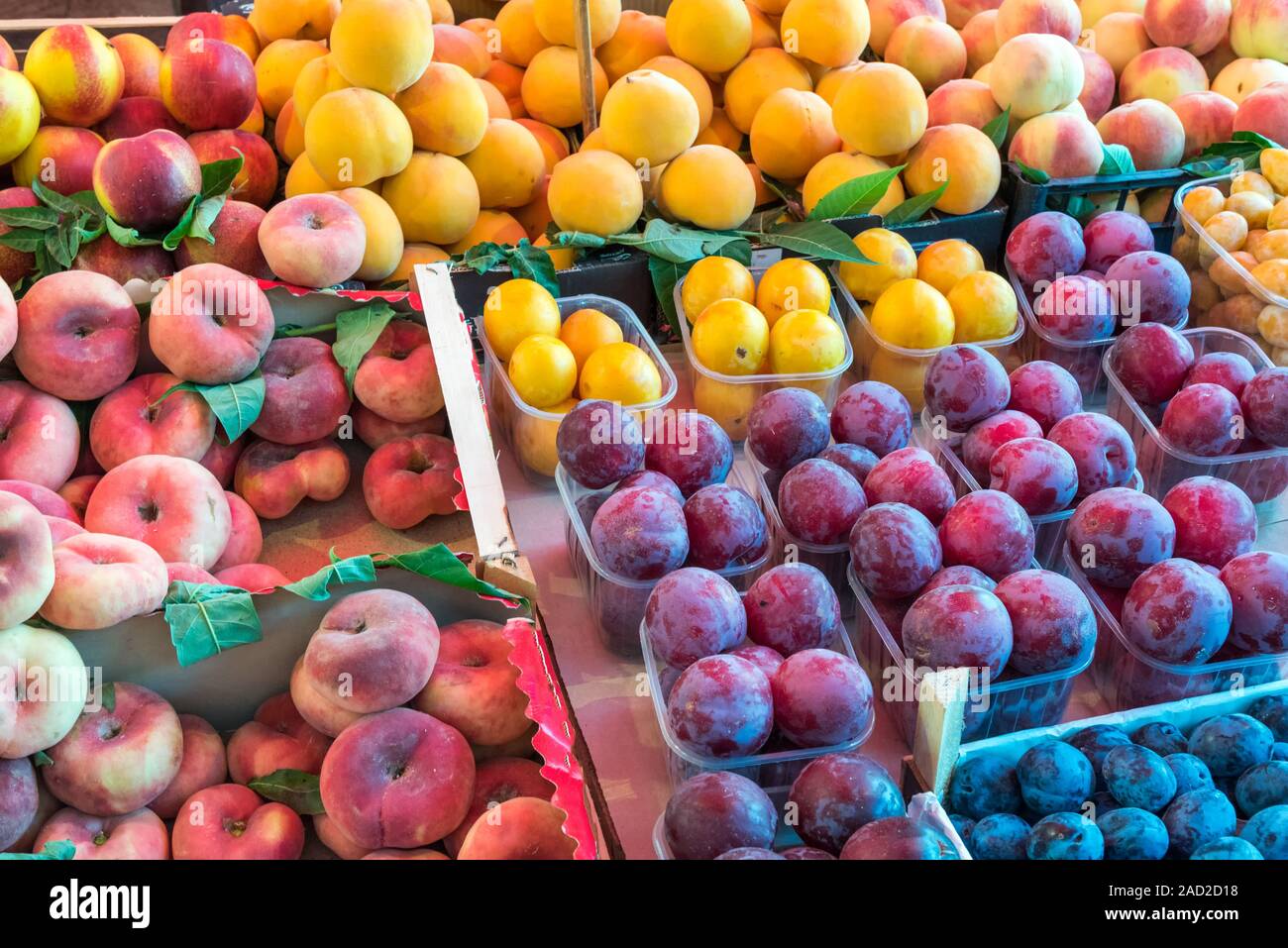 Verschiedene Arten von Pfirsichen und Pflaumen zum Verkauf auf dem Markt Stockfoto