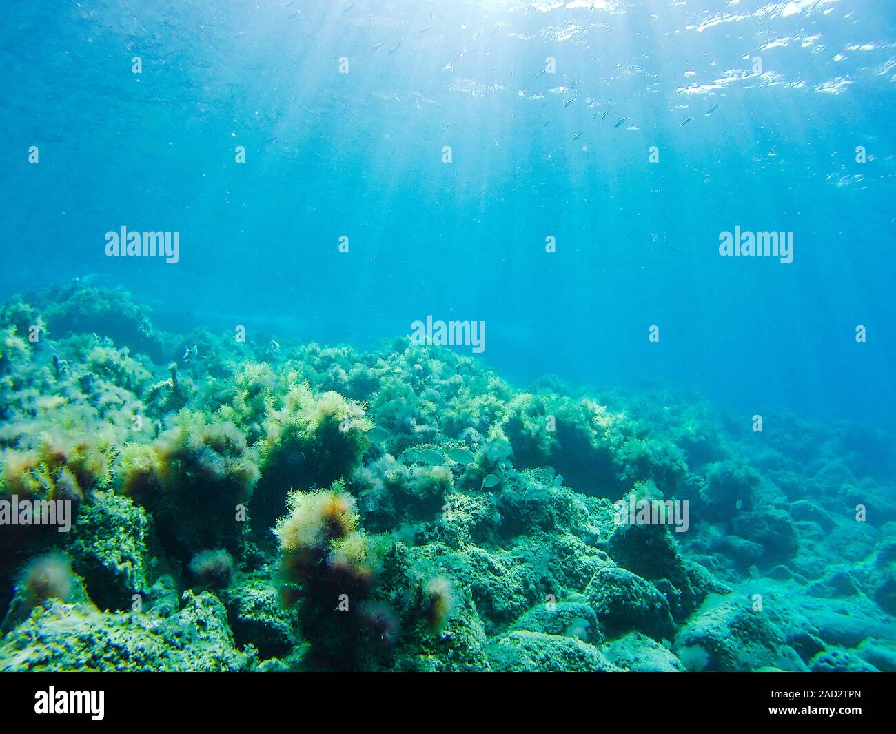 Unterwasser Foto von Felsformationen im Mittelmeer. Klare blaue Meer und Reflexionen. Stockfoto