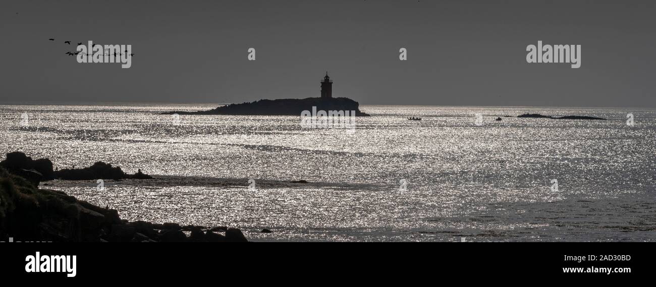 Leuchtturm, Insel Flatey in Breidafjördur Stockfoto