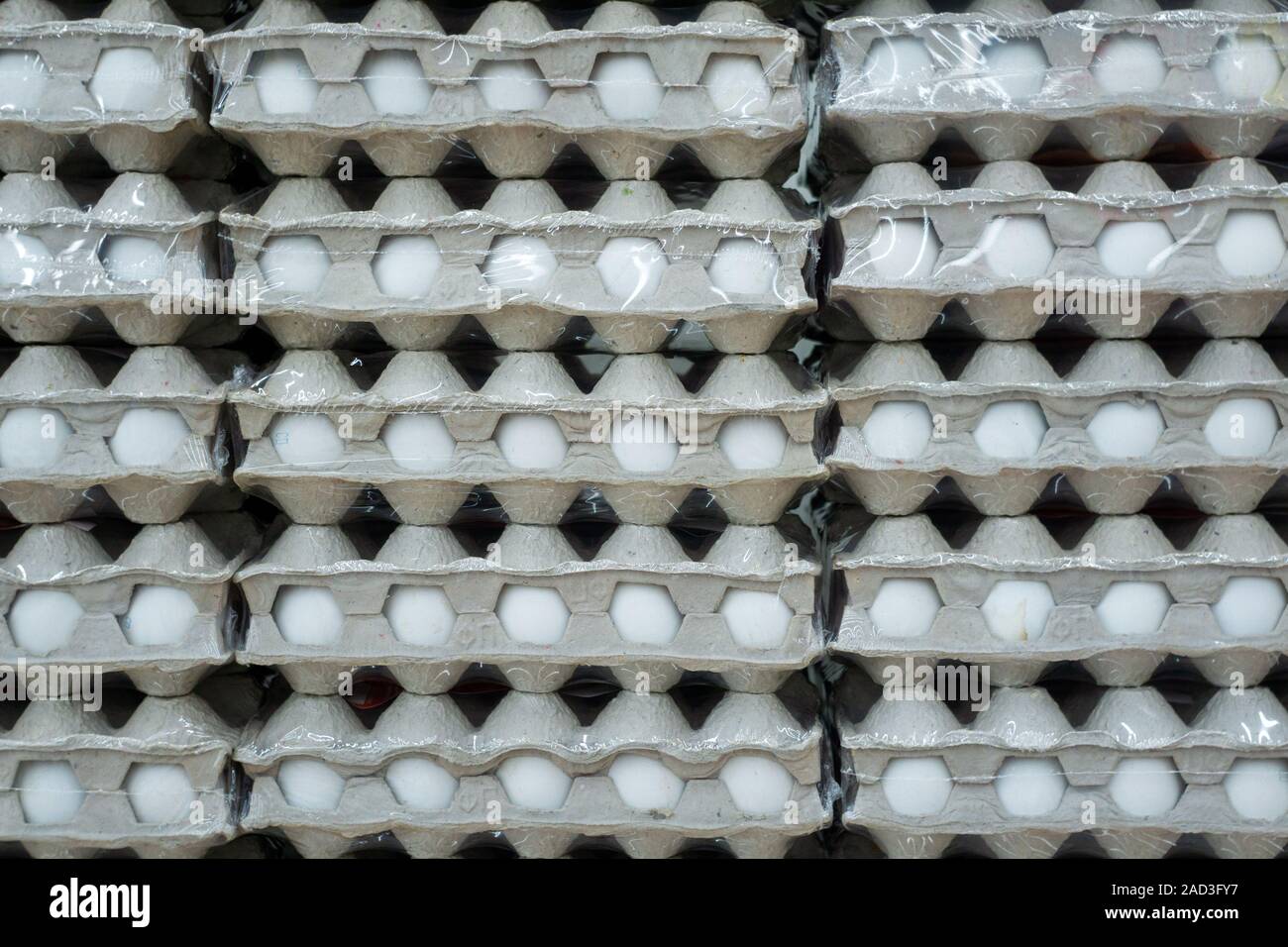 Viele Felder von Eiern auf Supermarkt Regal für Verkauf angezeigt. Stockfoto
