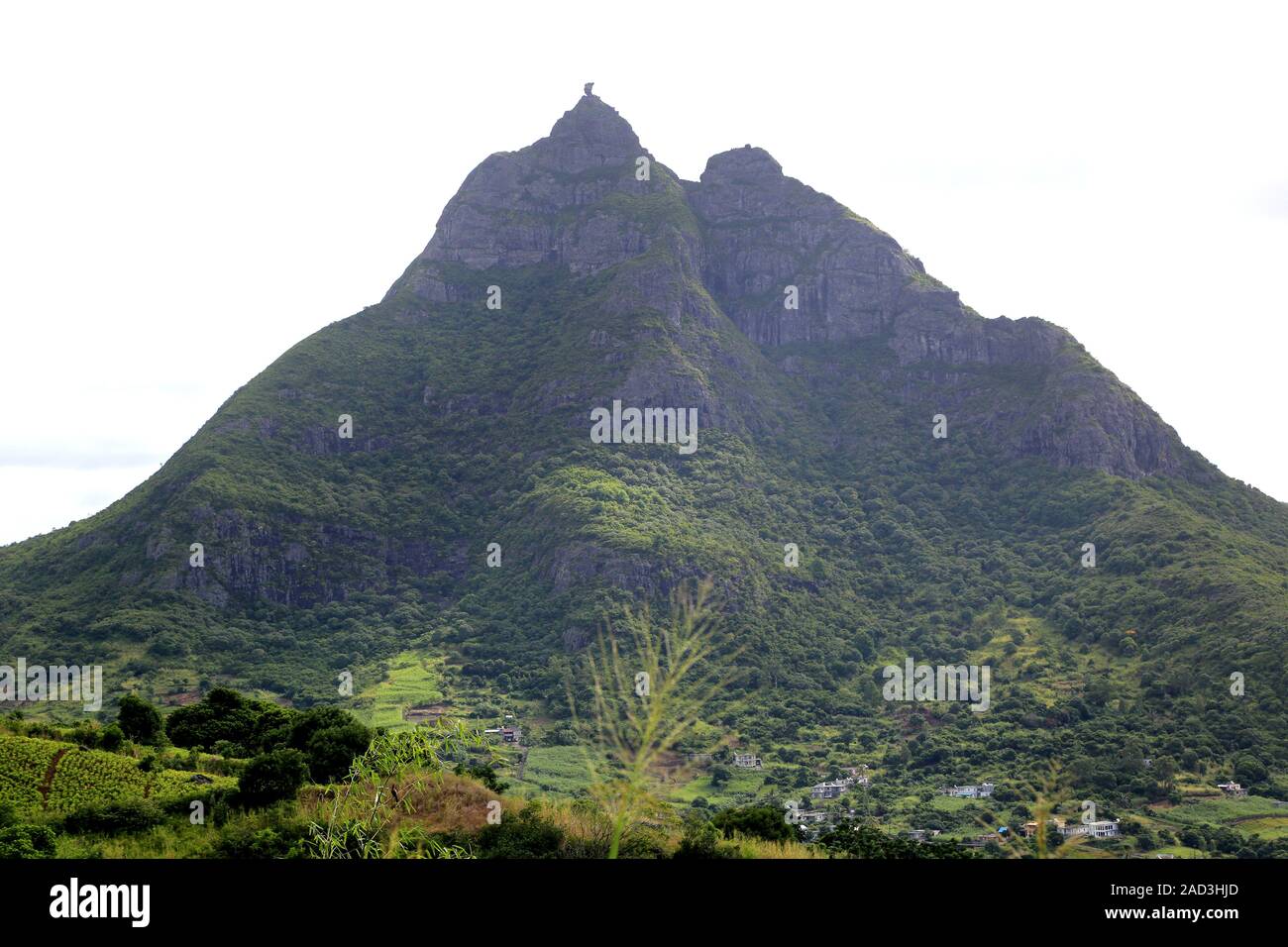 Mauritius, Wahrzeichen ist der markante Berg Pieter sowohl Stockfoto