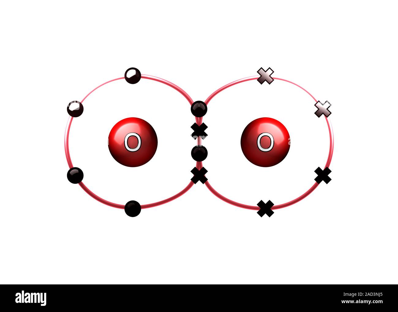 Молекула кислорода состоит из двух атомов. Атом водорода и молекула воды. Атомы молекулы воды. Строение молекулы воды тип связи. Из чего состоит атом кислорода.