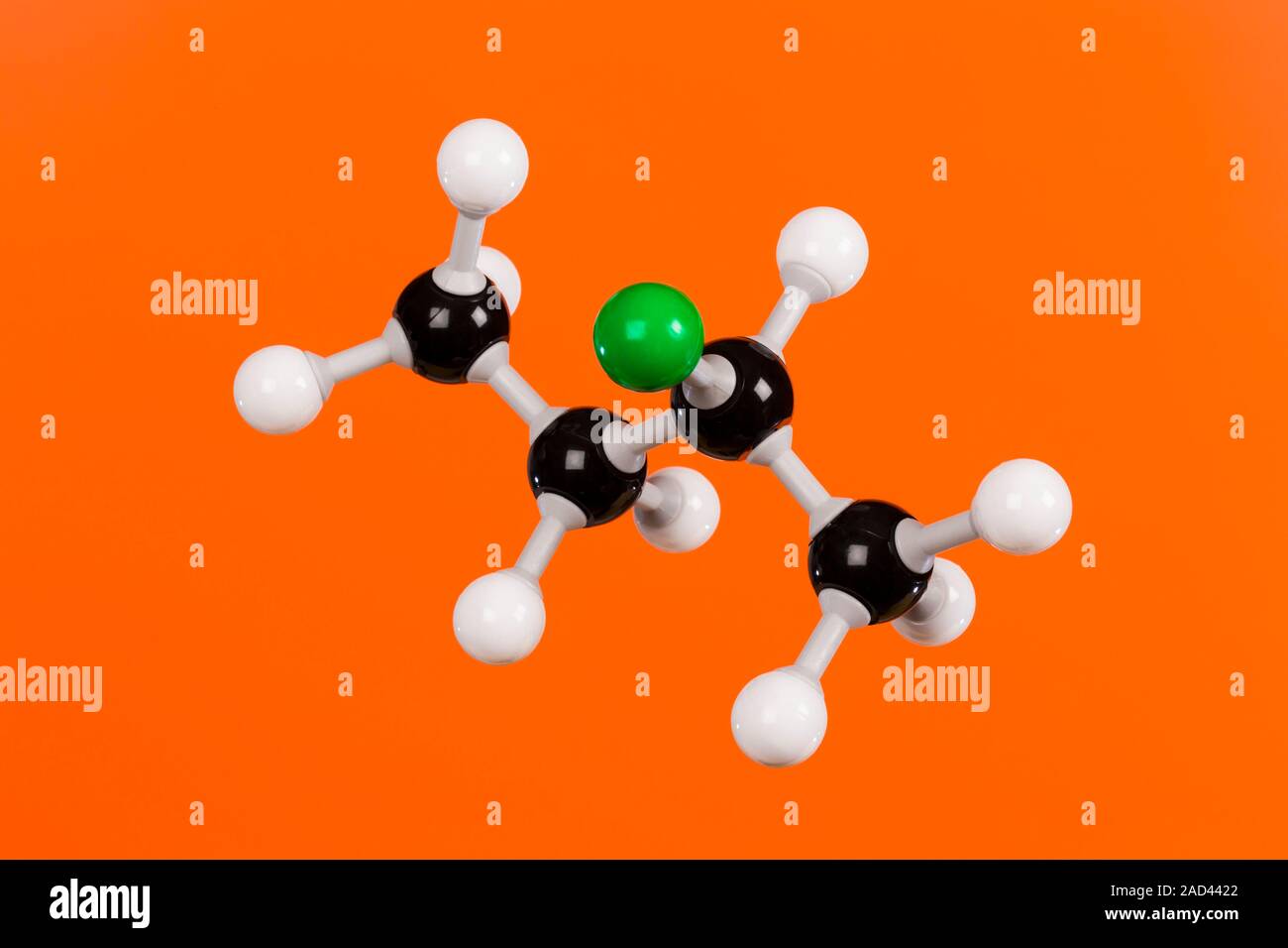 5 M Solution Of 2 Chlorobutane 5 M Solution Of 2 Chlorobutane