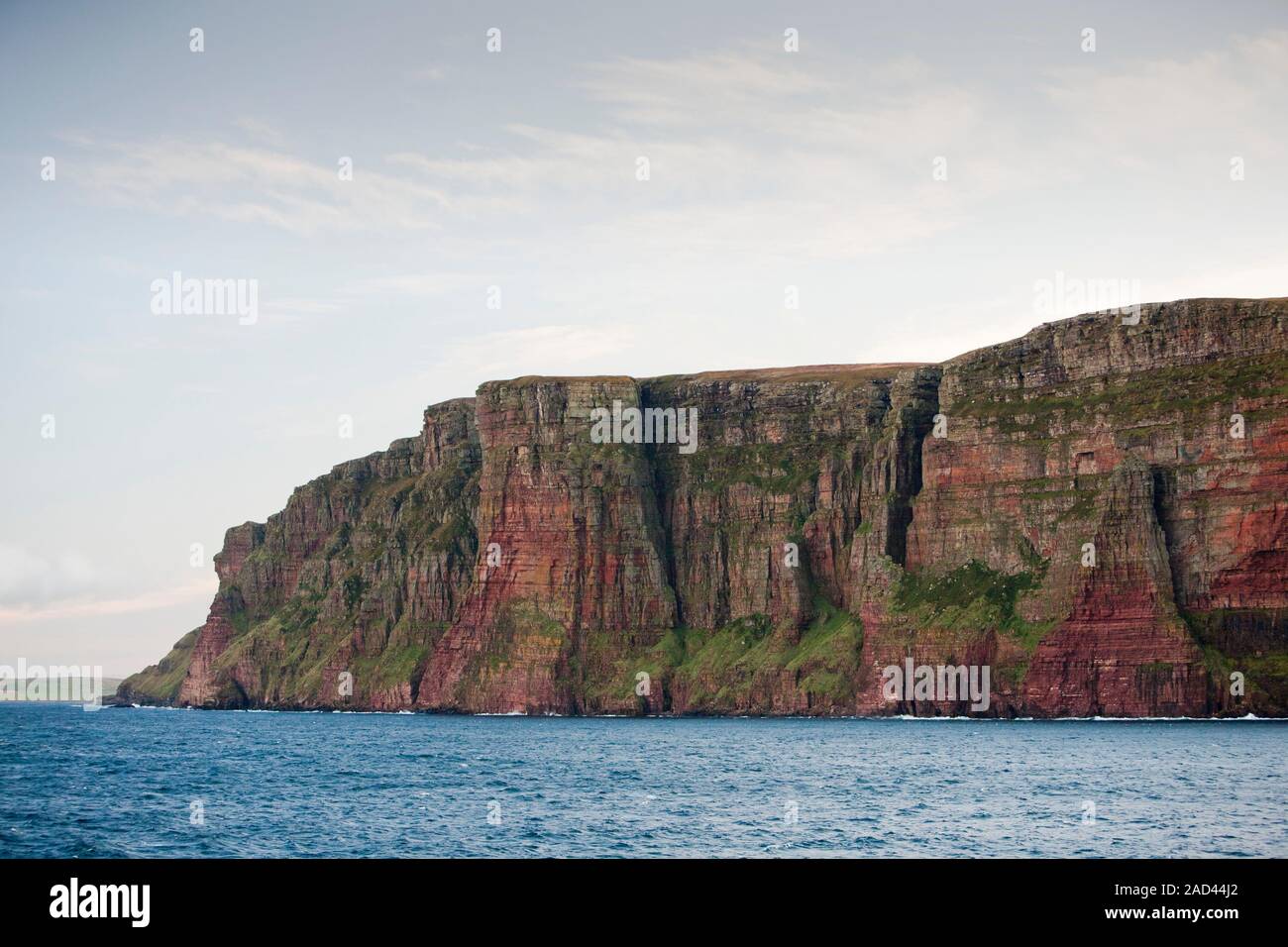 Bei 1100 Fuß hoch die Klippen von St Johns Kopf an der Nordwestküste von Hoy, Orkney, Schottland, UK sind die höchsten vertikalen Klippen in Großbritannien. Stockfoto