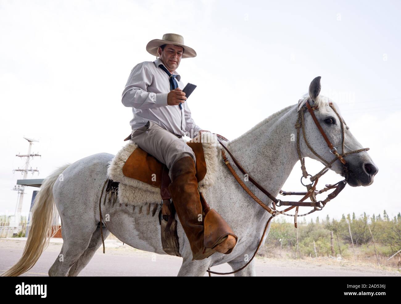 Ein Reiter schaut auf sein Handy beim Reiten seines Pferdes in er Cabalgata Los Compadres von Vista Flores und Tunuyan, Argentinien. Stockfoto
