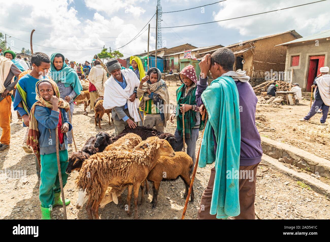 Äthiopien. Amhara. Soft-opening. September 21, 2019. Männer und Jungs die Schafe auf dem Markt von Soft-opening. Stockfoto