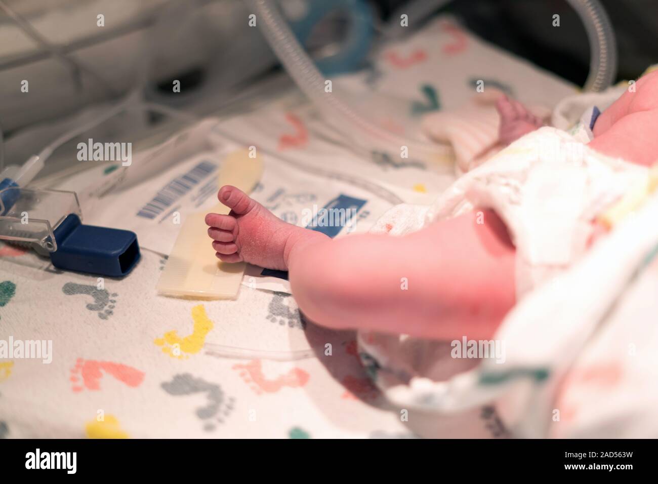 Neugeborenes Baby Fuß im Krankenhaus Bed Stockfoto