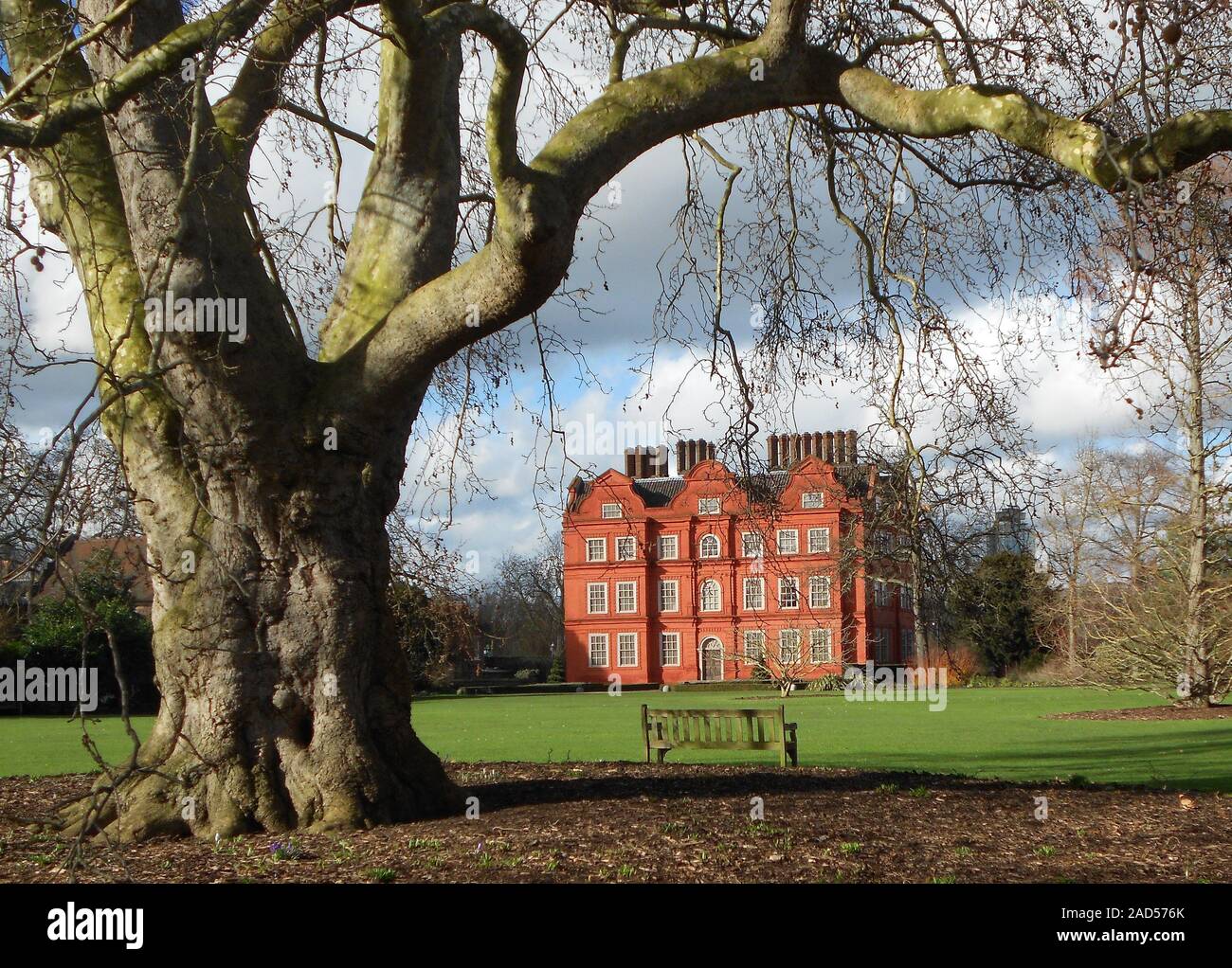 Orientalisches Flugzeug in Kew Gardens Stockfoto