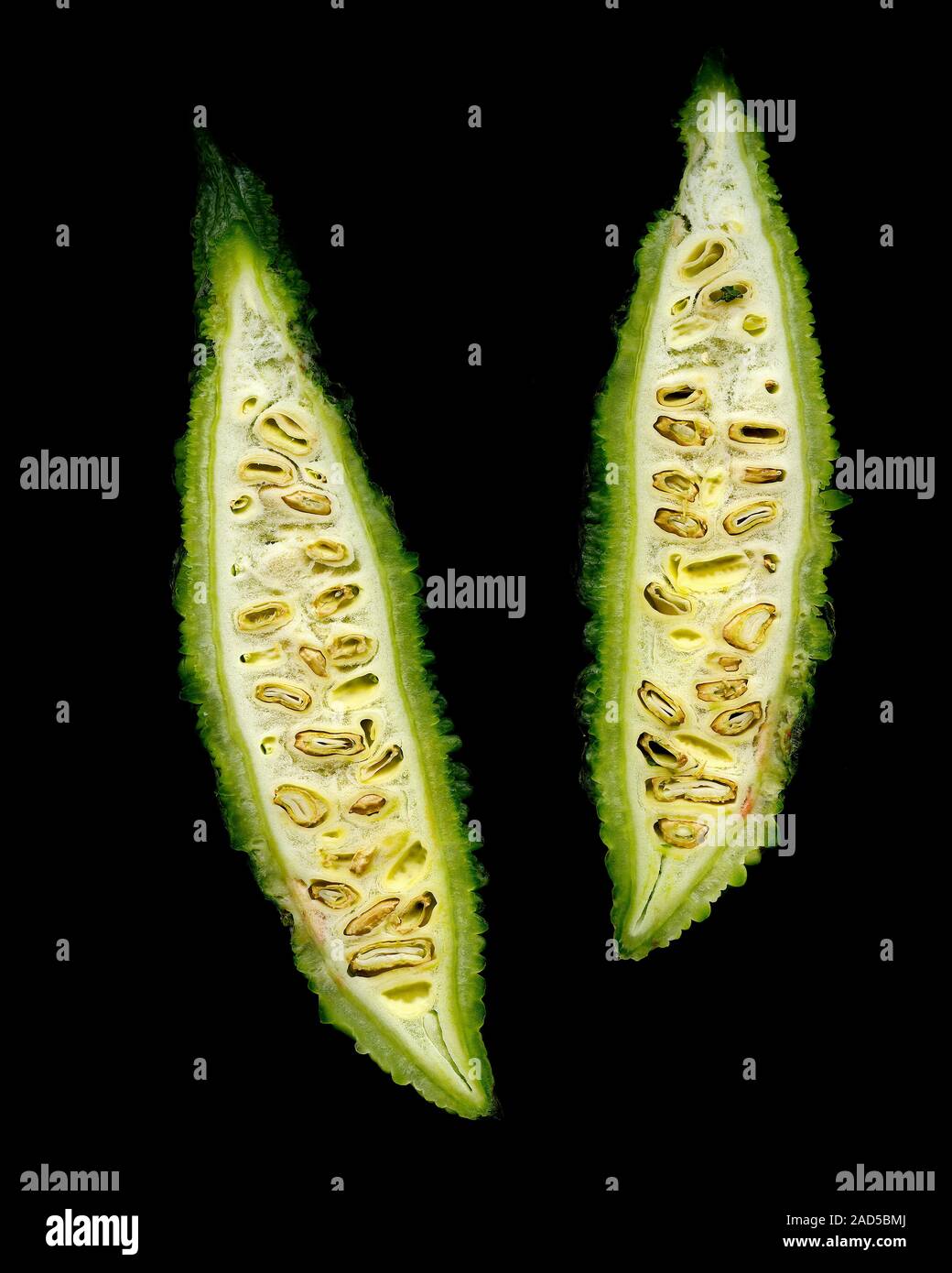 Zwei Scheiben von bitter Melone auf schwarzem Hintergrund Stockfoto