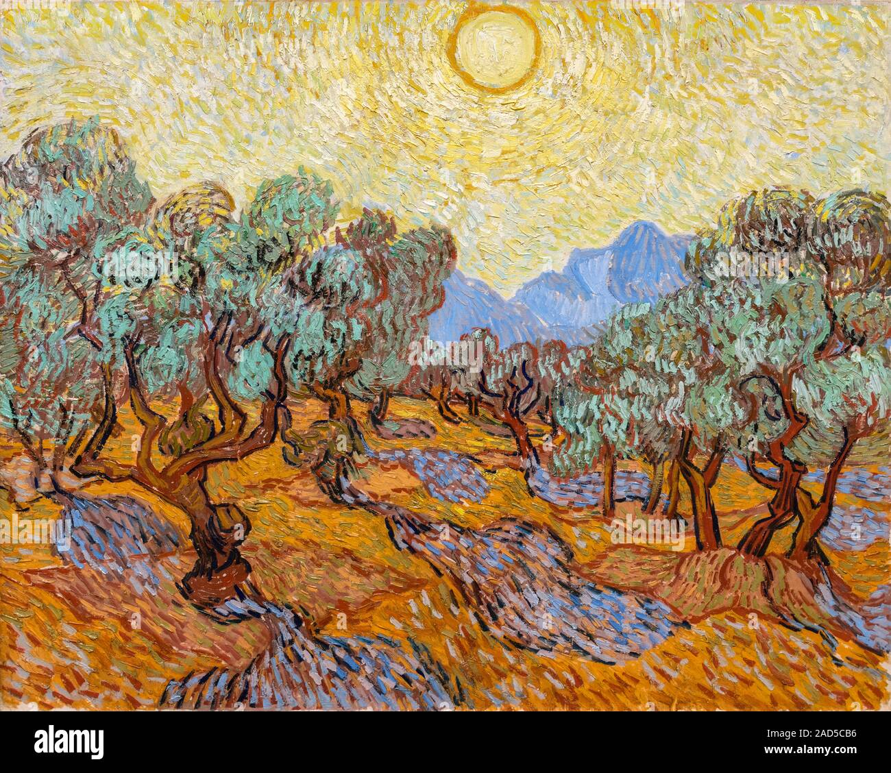 Olivenbäume von Vincent Van Gogh (1853-1890), Öl auf Leinwand, 1889 Stockfoto