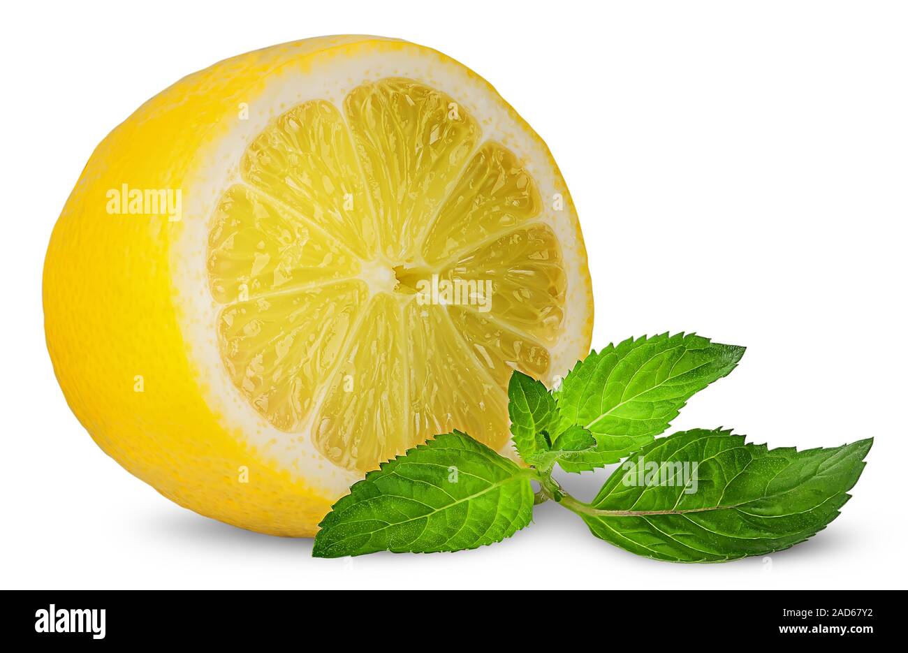 Eine halbe Zitrone und Zweig Minze Stockfoto